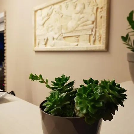 Secreta Vista Apartmanhotel Kávosz